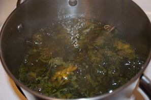 ვარიკოზული ვენების მკურნალობა დეკორქციებით